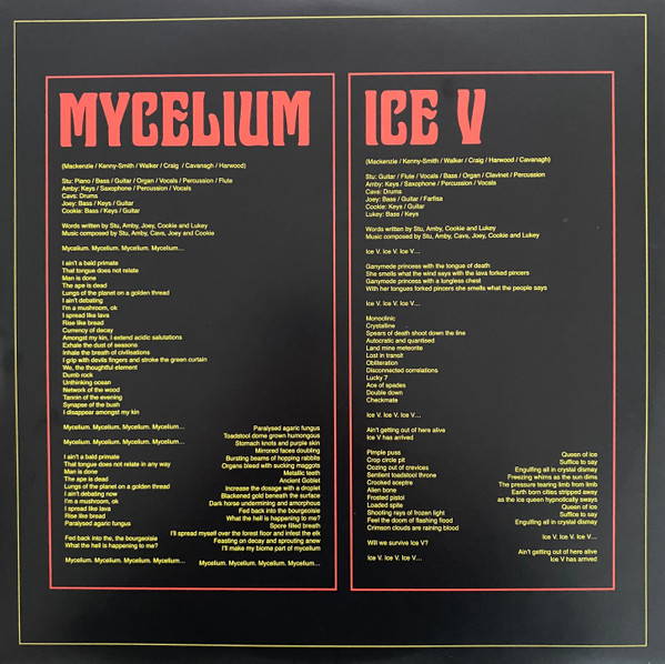 King Gizzard And The Lizard Wizard – Ice, Death, Planets, Lungs, Mushrooms And Lava (2LP)